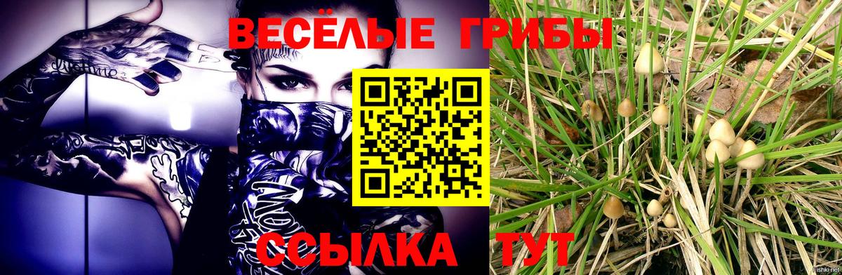 Галлюциногенные грибы ЛСД Чернушка