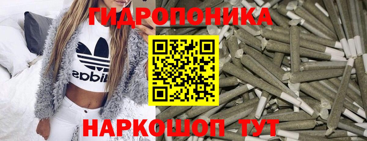 Чернушка  Шишки марихуана конопля  Бошки Шишки гибрид  Вход с VPN 